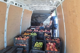 La Policía Local se incauta en el mercadillo de 800 kilos de fruta cuyo vendedor no pudo acreditar su procedencia