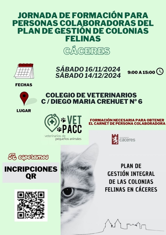 El Ayuntamiento de Cáceres refuerza el Plan de Gestión Integral de Colonias Felinas bajo el método CER-R (captura, esterilización y retorno)