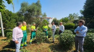 El Ayuntamiento refuerza el mantenimiento y conservación de las zonas de verdes de la ciudad con una inversión de 6,7 millones de euros