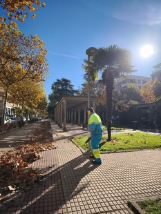 Veinticinco operarios refuerzan la limpieza de hojas en la ciudad durante la campaña de otoño