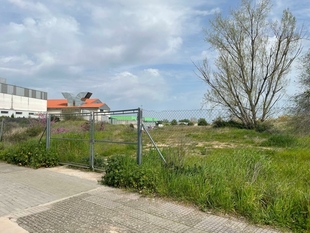 Seis empresas optarán a la redacción del proyecto de la parcela del mercado ambulante