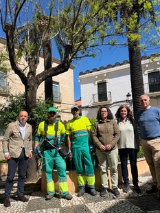 El Ayuntamiento de Cáceres inicia un tratamiento de última generación para proteger las palmeras municipales frente al picudo rojo