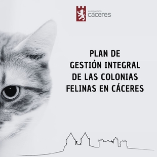 El Ayuntamiento destina más de 60.000 euros para mejorar y gestionar de forma integral las colonias felinas